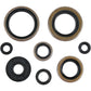 Moose Racing Motor Seals 822296MSE