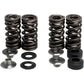 KIBBLEWHITE Valve Spring Kit 30-30880
