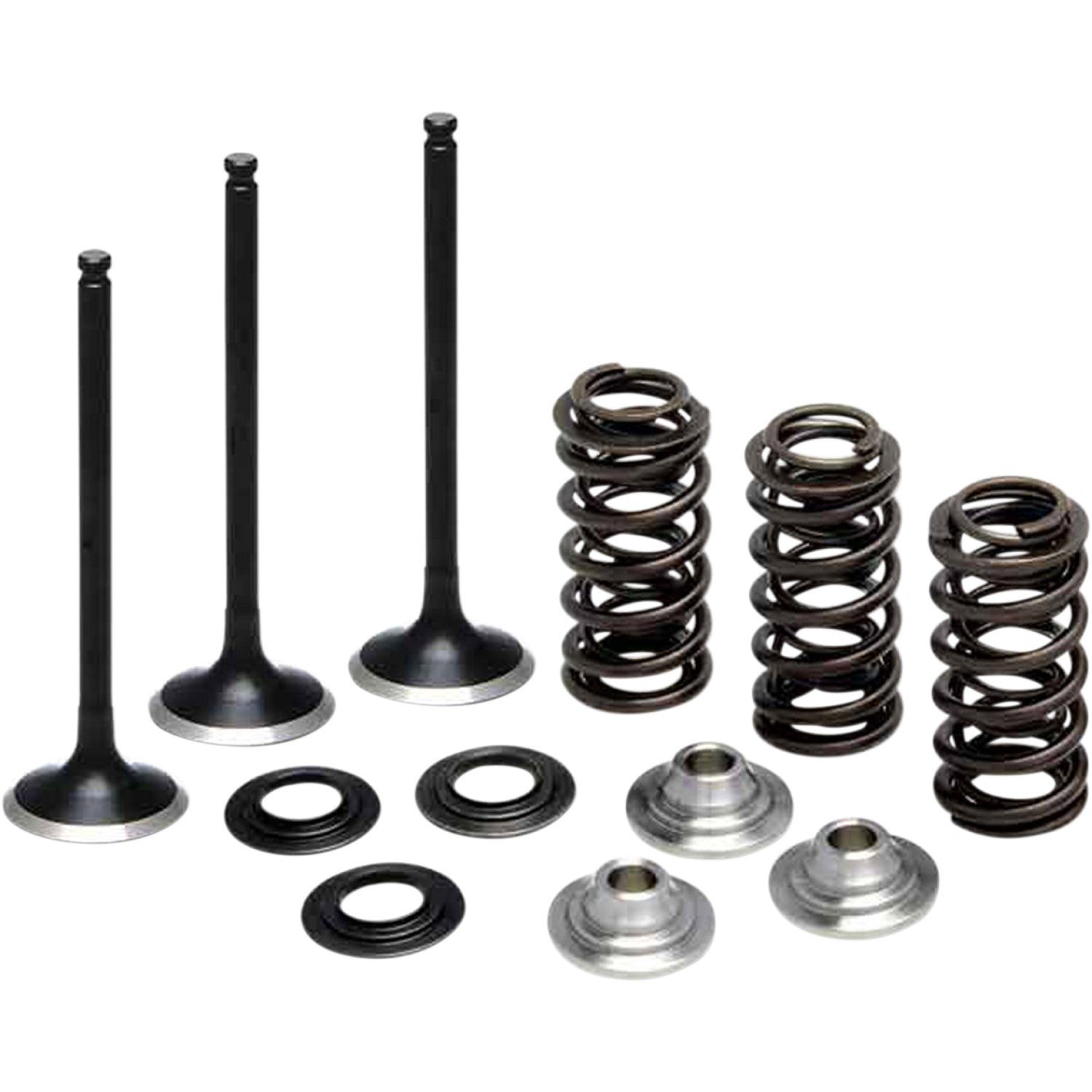 Kibblewhite Valve Spring Kit 80-80850 | Valves & Parts | Kibblewhite