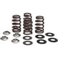 Kibblewhite Beehive Valve Spring Kit 96-96500 | Valves & Parts | Kibblewhite