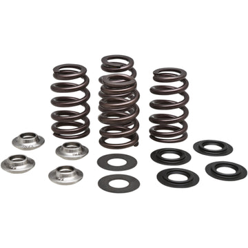 Kibblewhite Beehive Valve Spring Kit 96-96500 | Valves & Parts | Kibblewhite