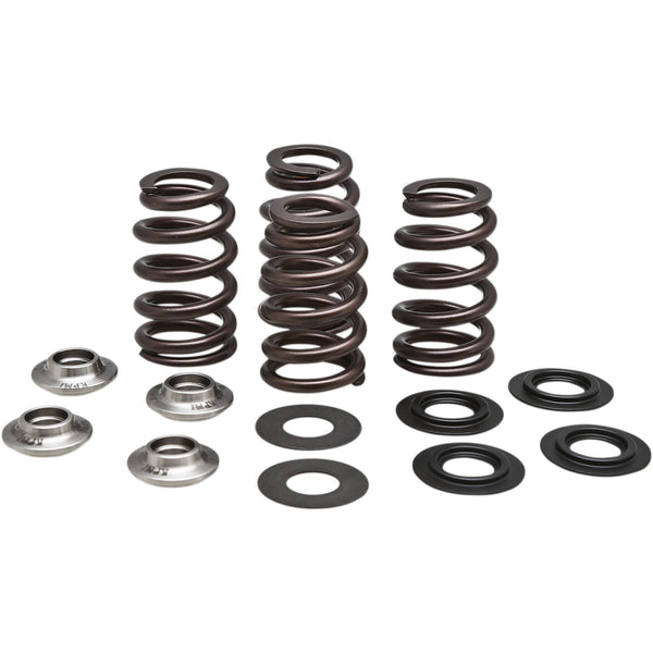 Kibblewhite Beehive Valve Spring Kit 96-96500
