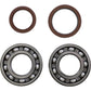 Moose Racing Crank Bearing/Seal Kit - Beta 24-1123
