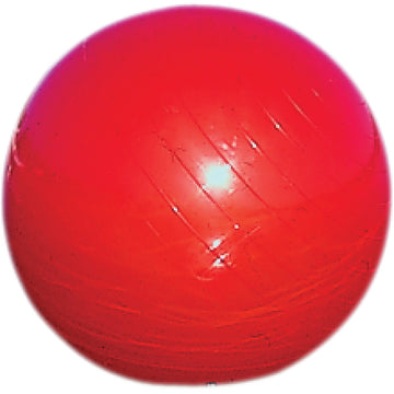 AIRHEAD SPORTS GROUP Buoy - Inflatable - 20" - Red B-20R
