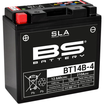 BS Battery Battery - BT14B-4 (YT) 300644