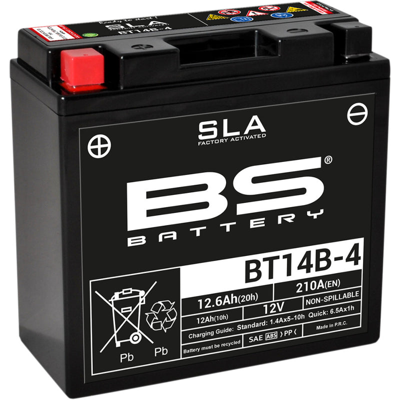 BS Battery Battery - BT14B-4 (YT) 300644