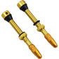 Flat Tire Defender No Clog? Valve Stems NC-40