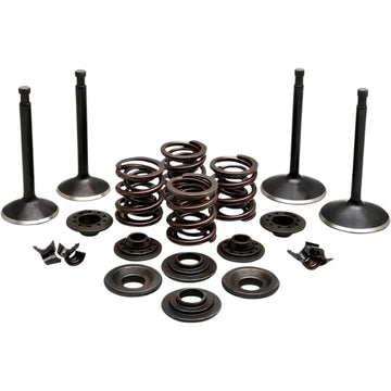 Kibblewhite Engine Kit - XL 20-22250 | Valves & Parts | Kibblewhite