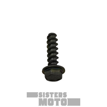 Sherco Plastic Screw 5 X18