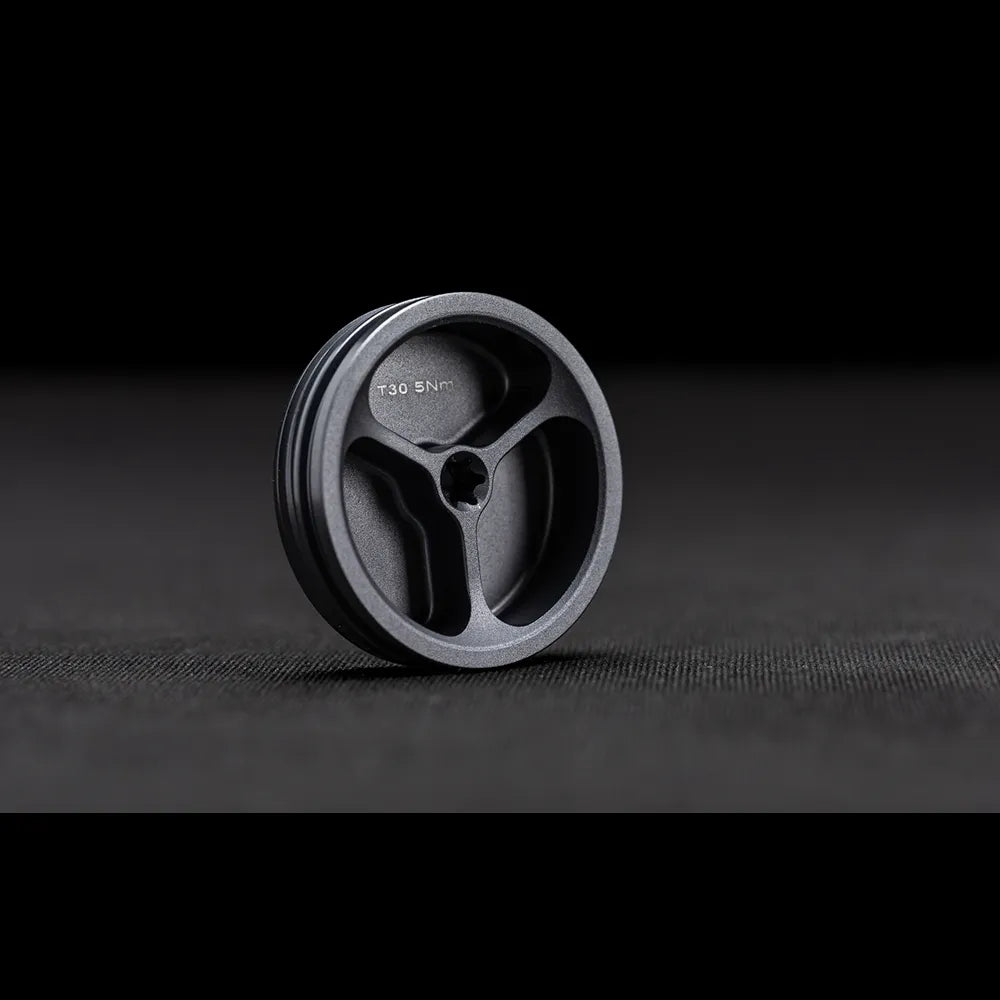 Swingarm Side Cap Aluminum