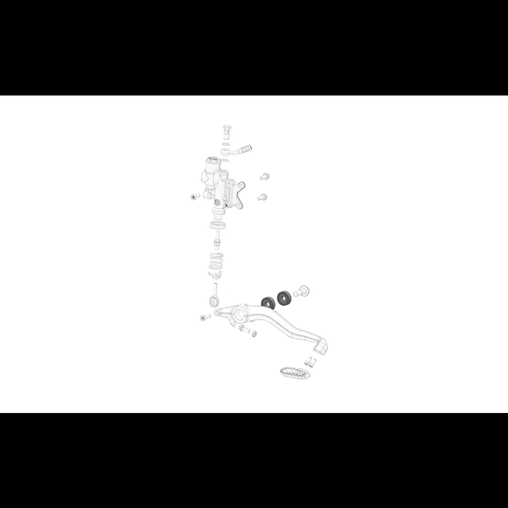 Rear Foot Brake Lever Bearing