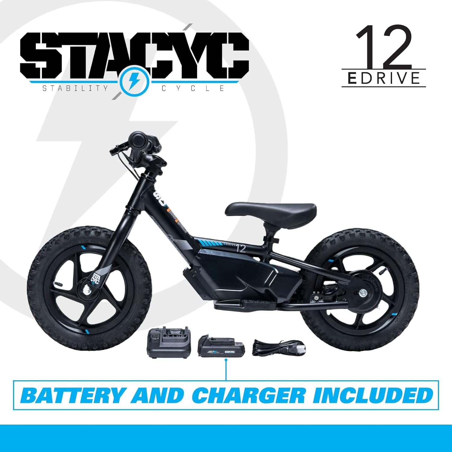 Stacyc battery online charger