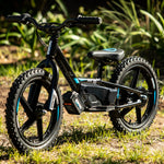 STACYC BRUSHLESS - 16EDRIVE