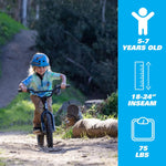 STACYC BRUSHLESS - 16EDRIVE