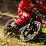 STACYC BRUSHLESS - 16EDRIVE