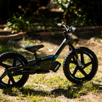 STACYC BRUSHLESS - 16EDRIVE