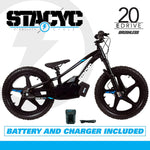 STACYC BRUSHLESS - 20EDRIVE