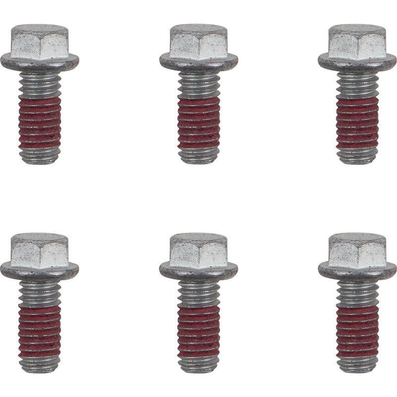 MOTO-MASTER Bolts - Rotor - M6 x 13 12019-PU