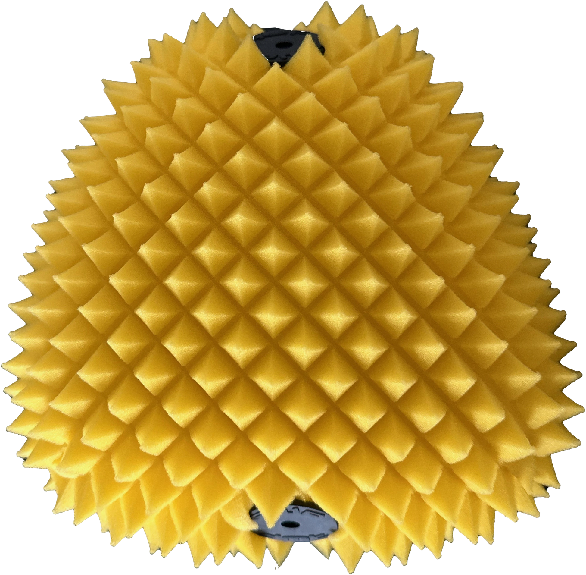 Air Filter Proline