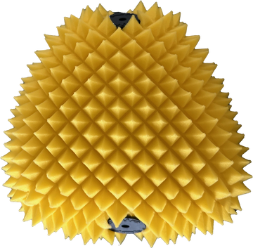 Air Filter Proline