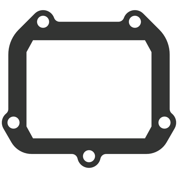 Vforce3 Gasket