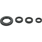 Oil Seal Set