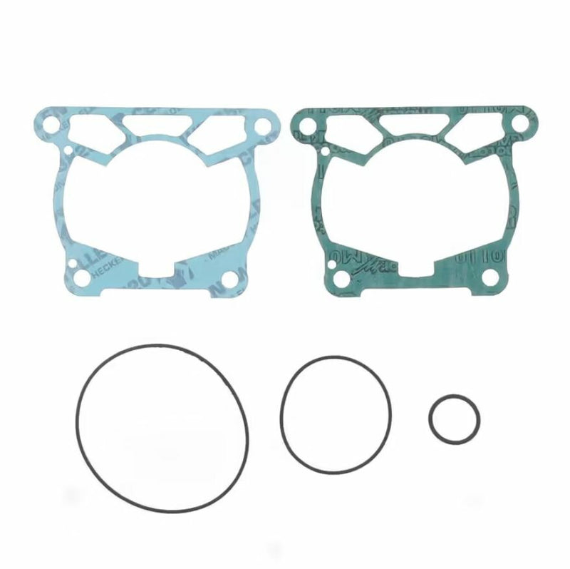 Set of gaskets and washers on a white background