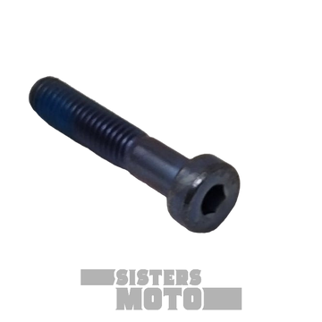 SCREW CHC 6 X 30 DIN 7984