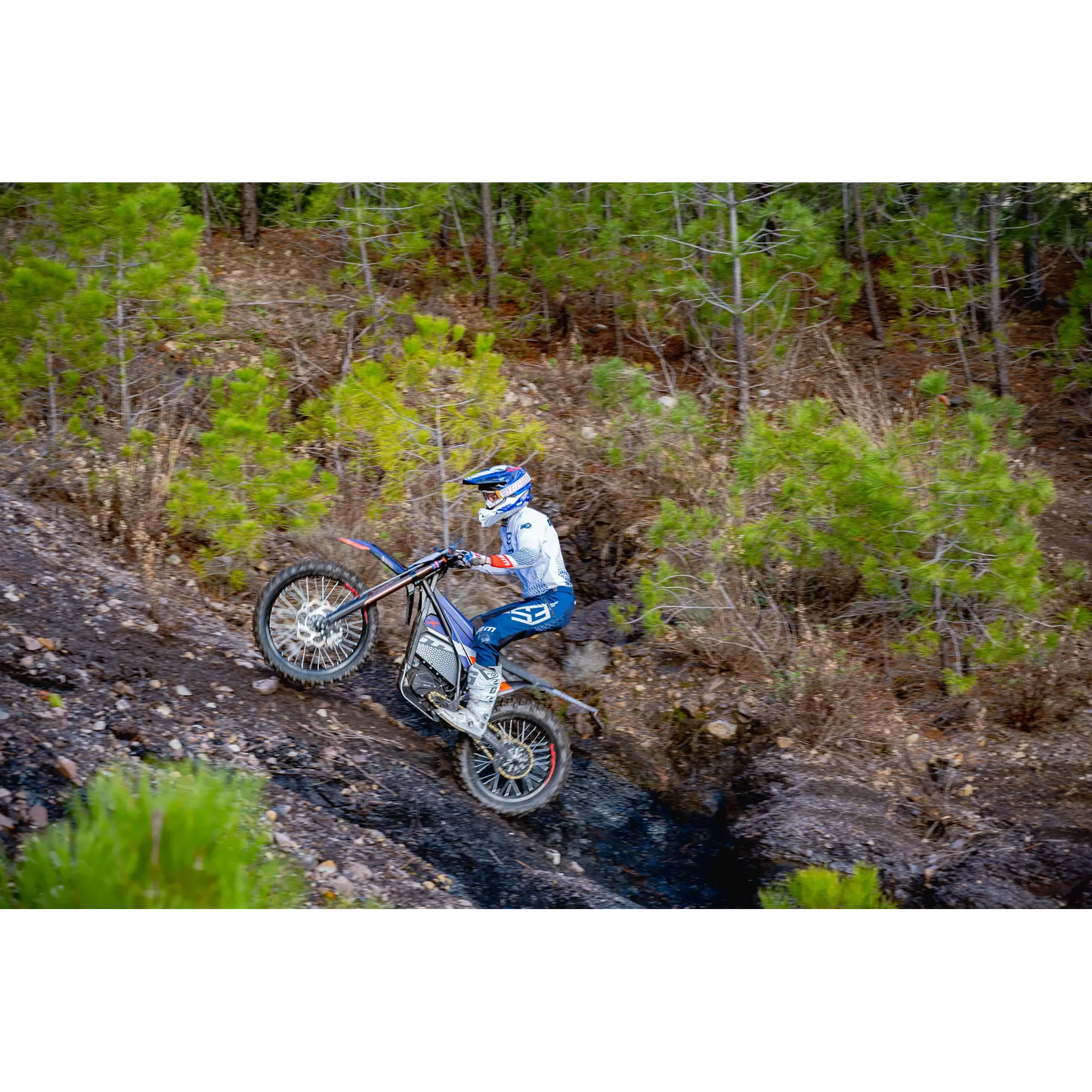 Electric Motion XR 2024    VPXTC010360002178