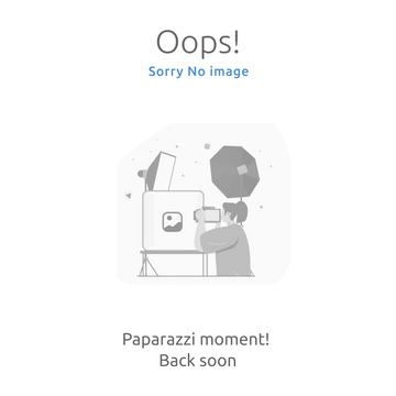 Sherco Enduro Water Pump Bearing Installer E | Oem/Spare Parts Usa